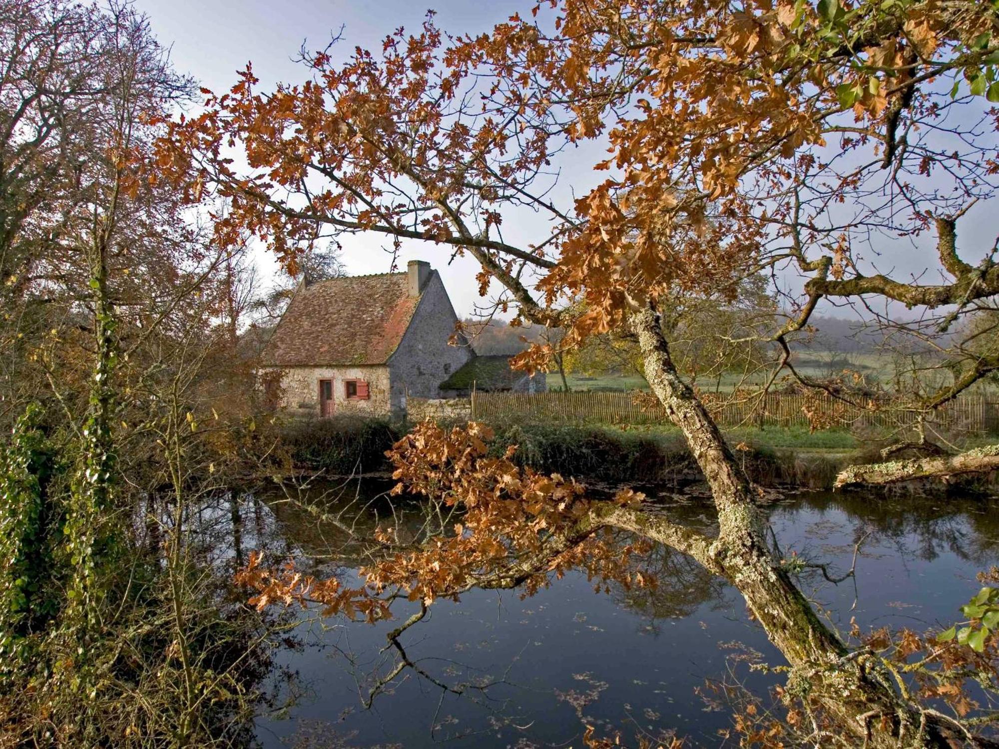 Sejour Nature Au Coeur Du Parc De La Brenne: Gite 4 Chambres, Jardin Et Terrasse, Proche De Rosnay - Fr-1-591-141 Exteriér fotografie
